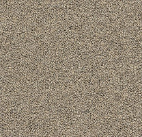 Ковровая плитка Tessera Chroma 3610 Thatch фото 1 | FLOORDEALER